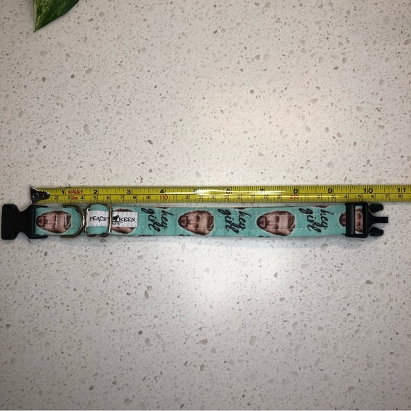Dog collar: Ryan Gosling ‘Hey Girl’ novelty dog collar - fits 10”- 16” neck - Picture 7 of 14